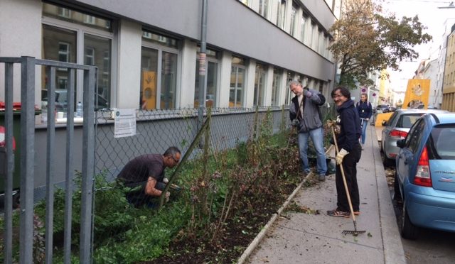 Herbstschnitt für unseren Schulvorgarten